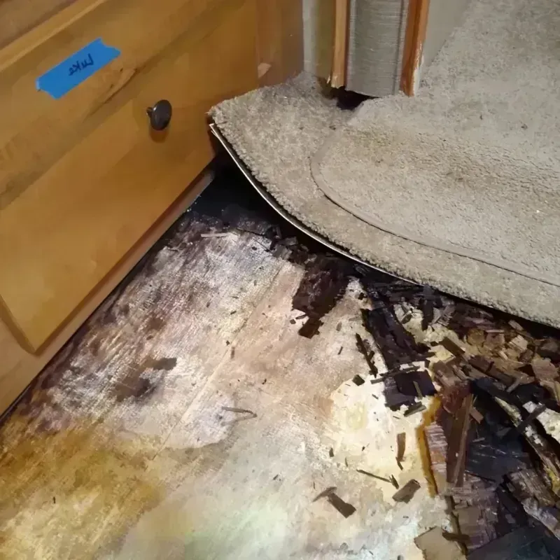 Wood Floor Water Damage in Greater Northdale, FL